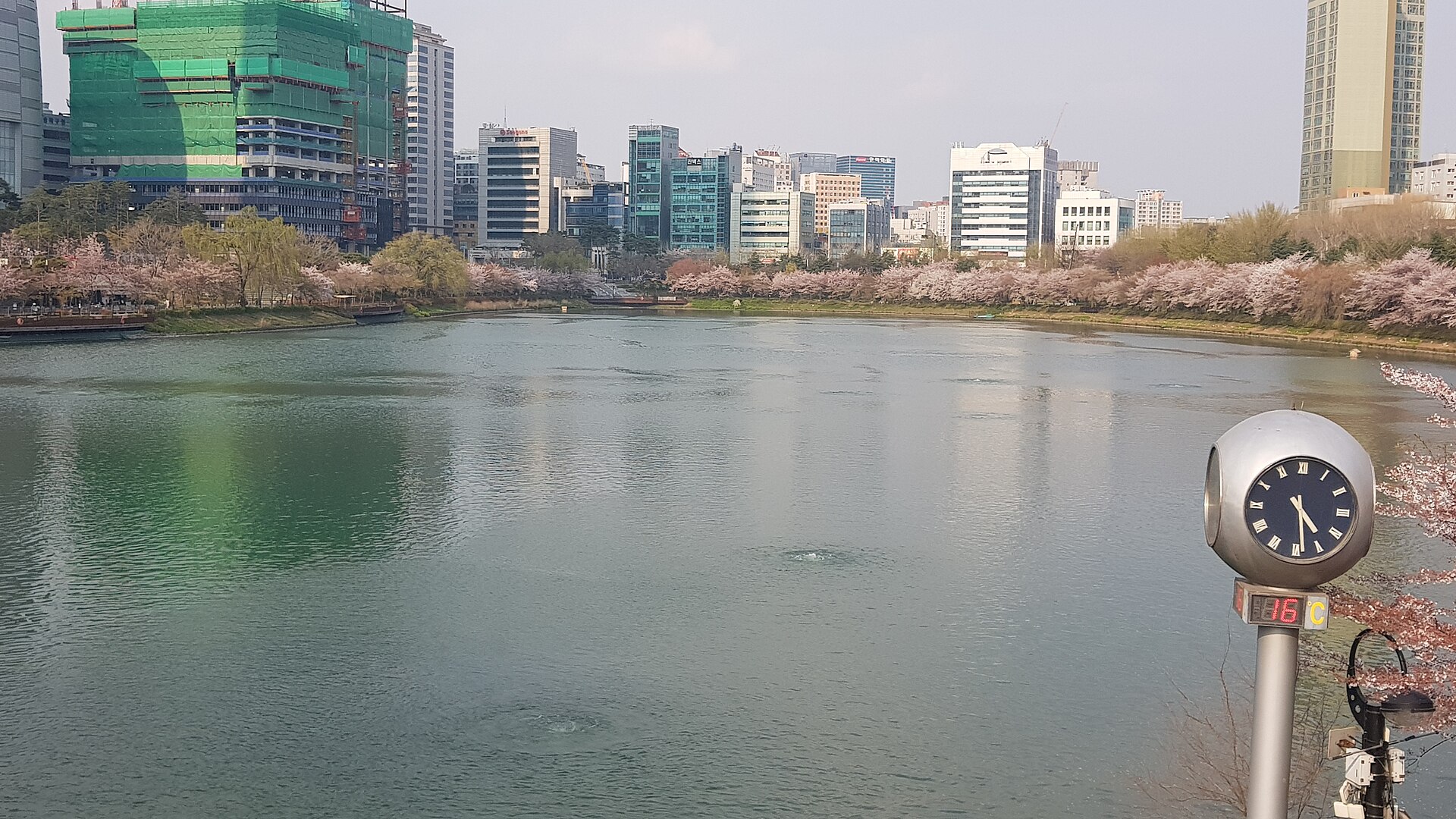 Cherry blossoms and a lakeside path beside Seokchon Lake in Seoul