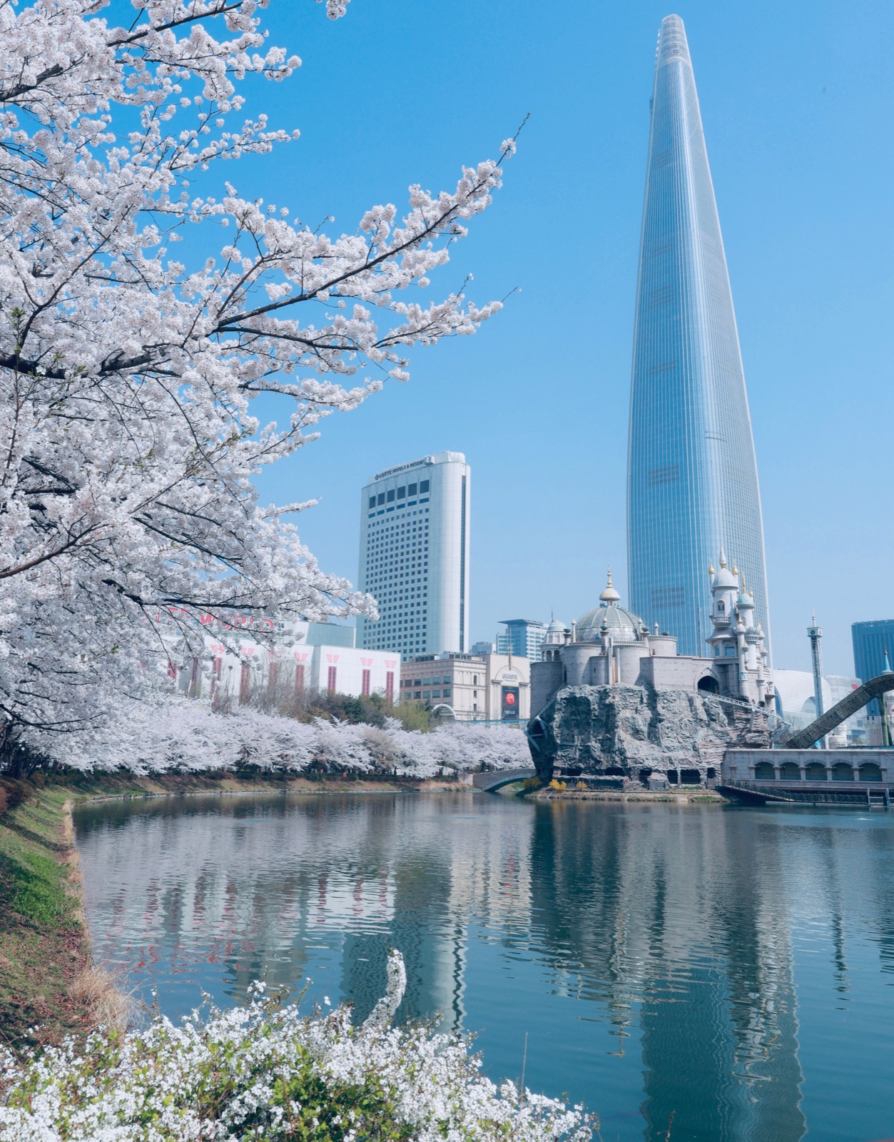 Daytime spring photograph of Seokchon Lake, cherry blossoms and Lotte World Tower